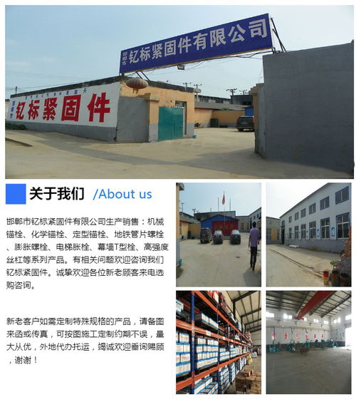 不銹鋼機械錨栓 不銹鋼機械錨栓批發 釔標