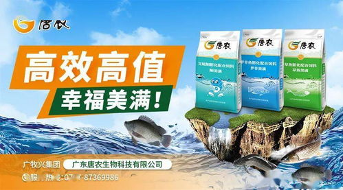 豆粕玉米持續聯動上漲，飼料廠壓力大增 江門、佛山、茂名、海南水產料全線上漲，防腐劑也未能幸免
